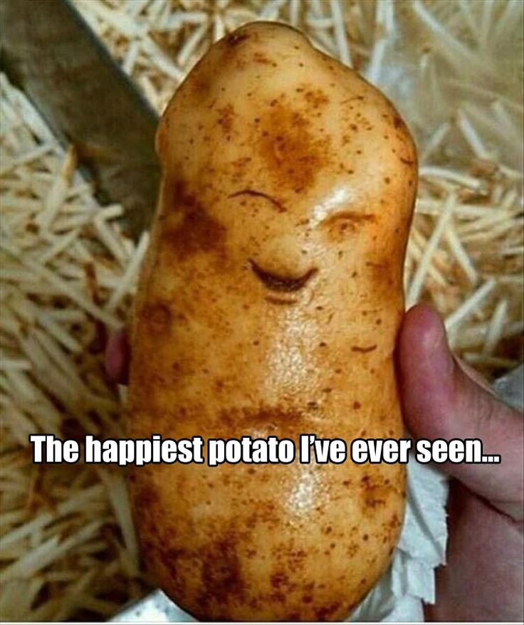 #NationalPotatoDay
