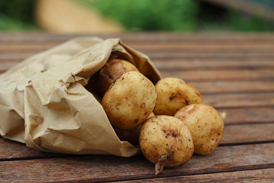 #NationalPotatoDay