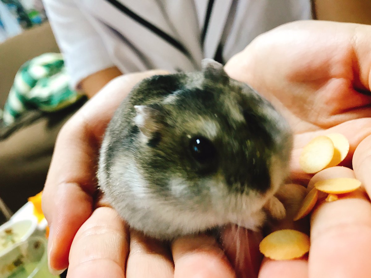 朝日の人に拉致られた!楽しかった〜😢💓ちびまる子ちゃんも久しぶりにみたよそして、くみちゃんと中村ママと久しぶりにゆっくり 朝日の人に拉致られた!楽しかった〜😢💓ちびまる子ちゃんも久しぶりにみたよそして、くみちゃんと中村ママと久しぶりにゆっくり