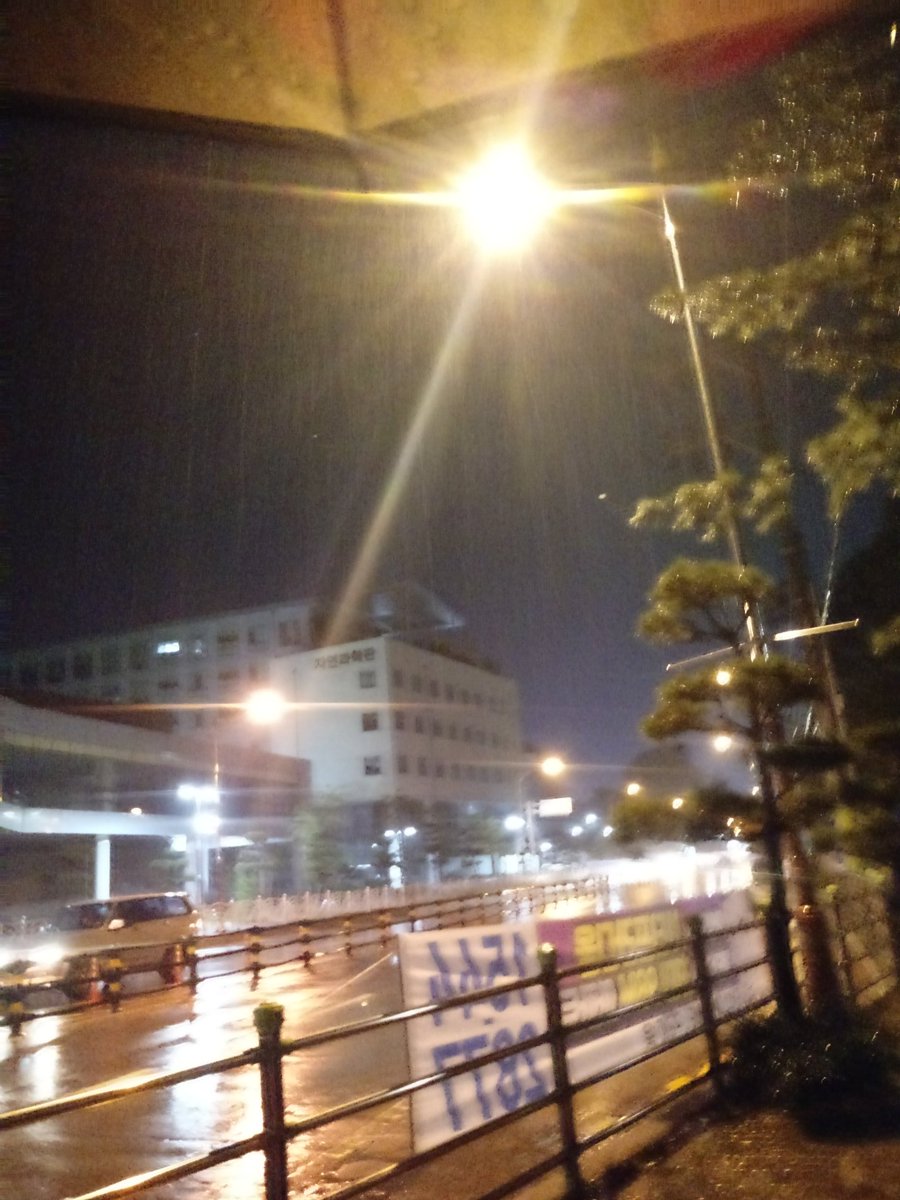 비온다 우산 비가 빗소리 주륵주륵 비와 여긴 tomesaburo15