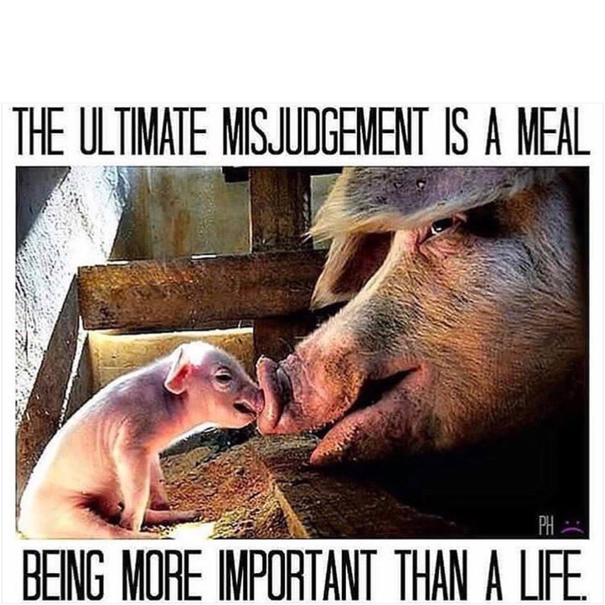#vegan