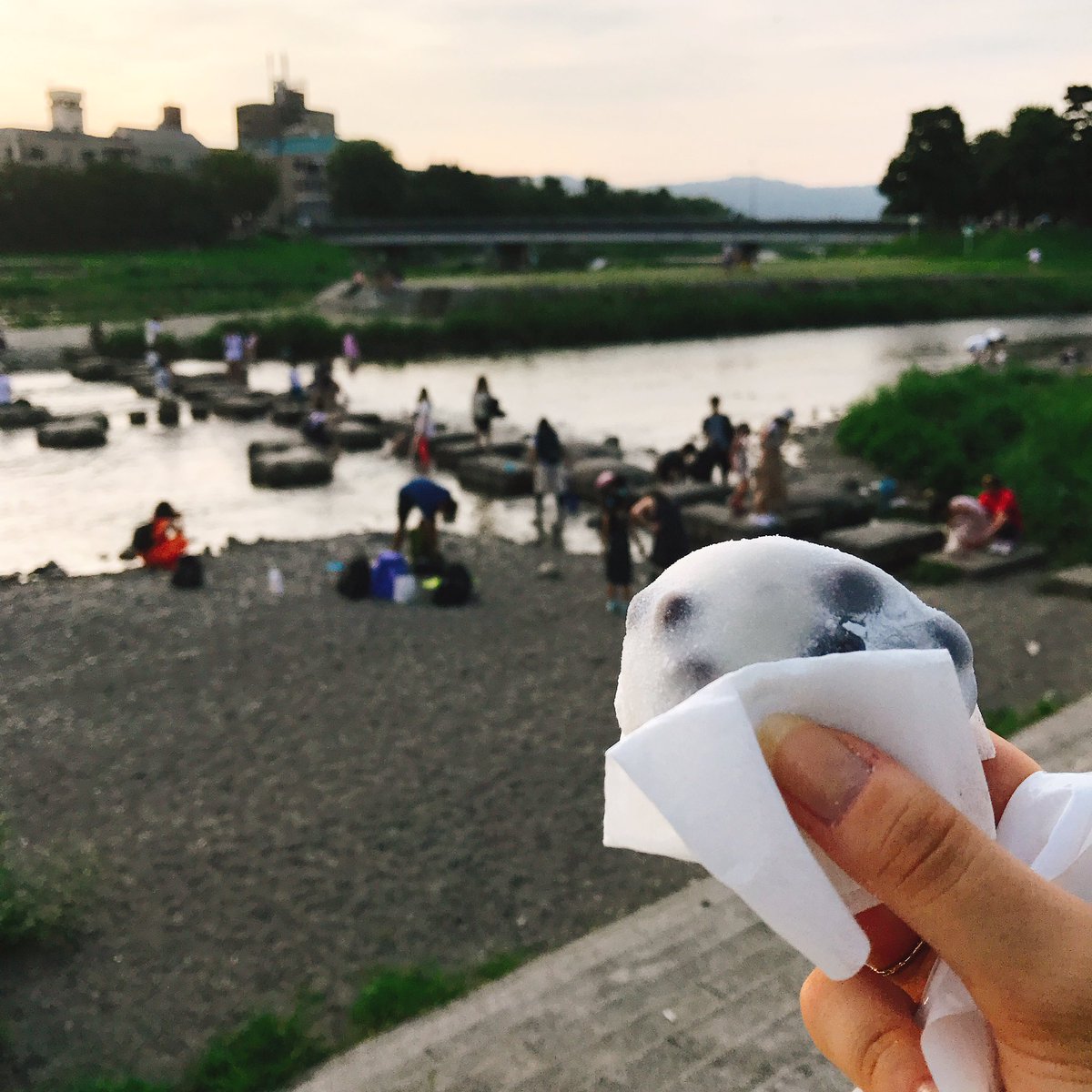 ともきさんに教えてもらってたまこまの聖地、行ってきた!商店街も行った!人がすごく優しくて素敵な場所でたまこたちはこんな素 ともきさんに教えてもらってたまこまの聖地、行ってきた!商店街も行った!人がすごく優しくて素敵な場所でたまこたちはこんな素
