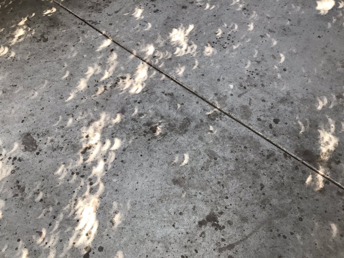 Trees making pinholes. Sun shining through casts shadow crescents. (Basically how a camera works) #SolarEclipse2017 https://t.co/oMsHQakz2q
