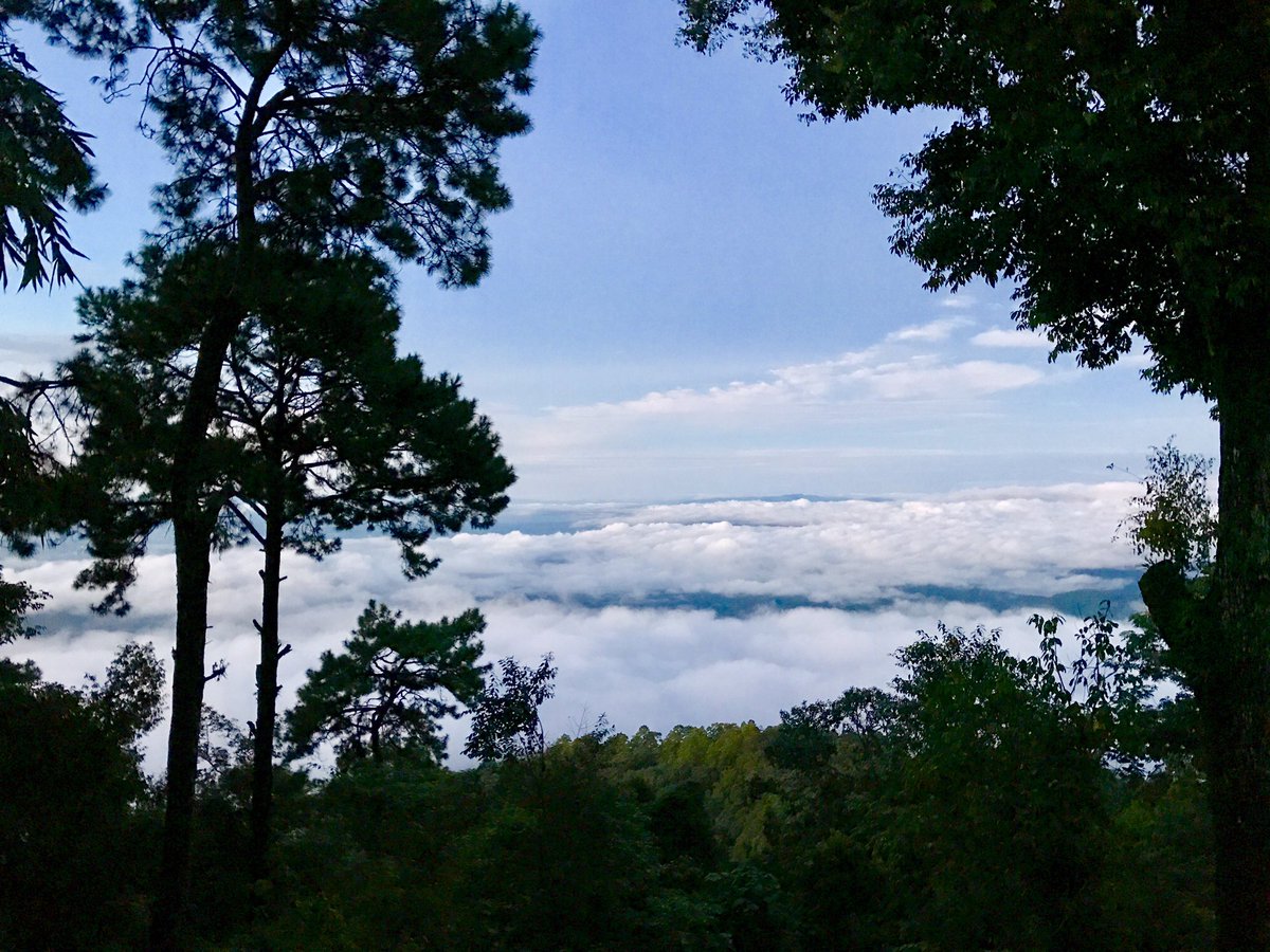 #reviewchiangmai