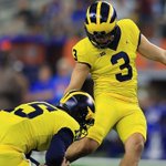 Michigan football's Quinn Nordin named co-Big Ten special teams player of the week