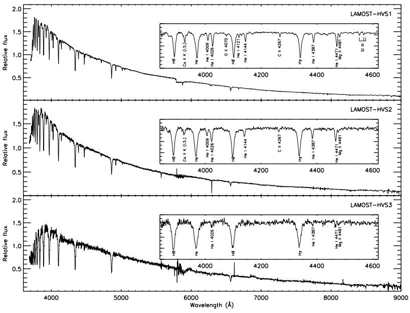 Two distant hypervelocity stars discovered by Chinese astronomers