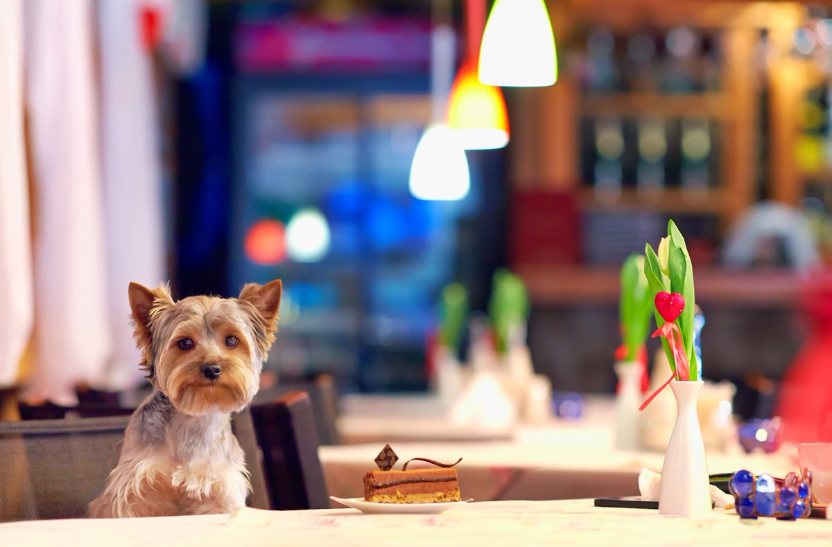 The Bull & Last London's best kept secret gastropubs