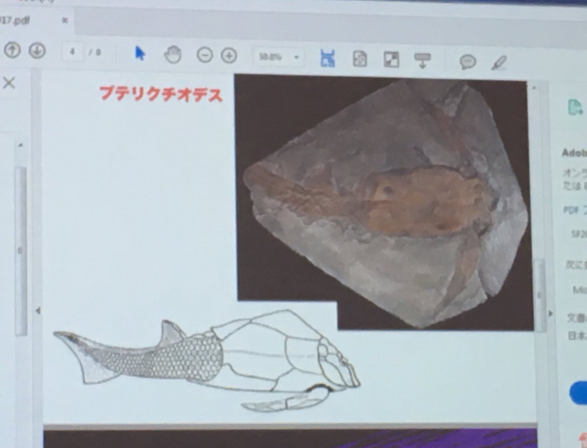 この甲冑魚は海水と淡水が混ざり合う河口付近の汽水域に生息していたという説があるそうで、もしかしてその厚い装甲は、上陸する この甲冑魚は海水と淡水が混ざり合う河口付近の汽水域に生息していたという説があるそうで、もしかしてその厚い装甲は、上陸する