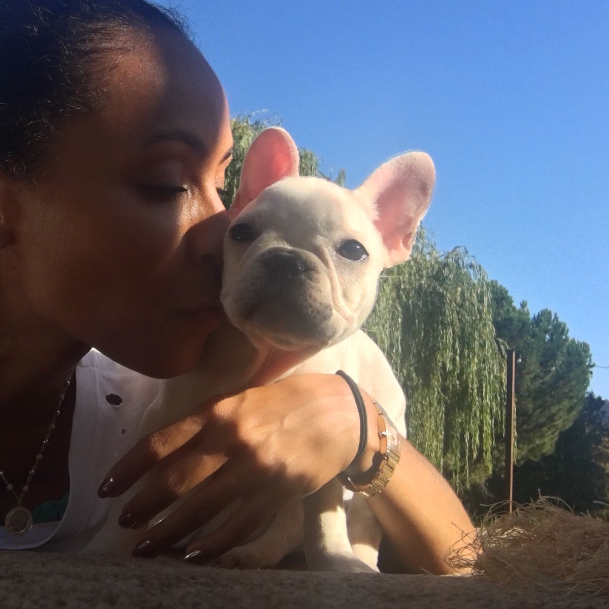 When you're all about that puppy dog realness on a Saturday afternoon☺️ https://t.co/06ciDUPJnj