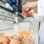 Bulgaria seizes contaminated eggs from Germany