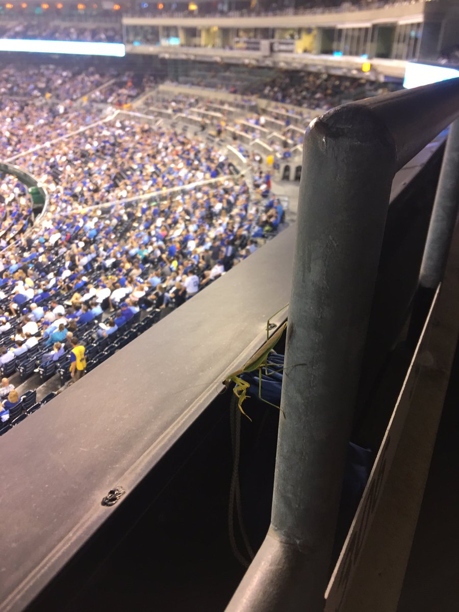 #Royals