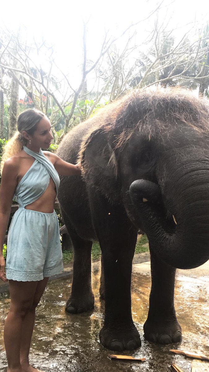 Visiting the most beautiful rescue elephants in Bali https://t.co/clNRaeQjGX
