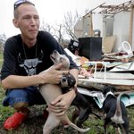 Homeless dogs affected by Hurricane Harvey will arrive in Hillsboro Friday