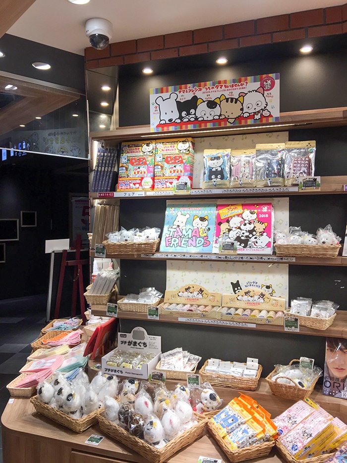 三省堂書店池袋本店にて本日から『タマ&フレンズ~うちのタマ知りませんか?~』フェア開催!来年の壁掛けカレンダーも早々に登 三省堂書店池袋本店にて本日から『タマ&フレンズ~うちのタマ知りませんか?~』フェア開催!来年の壁掛けカレンダーも早々に登