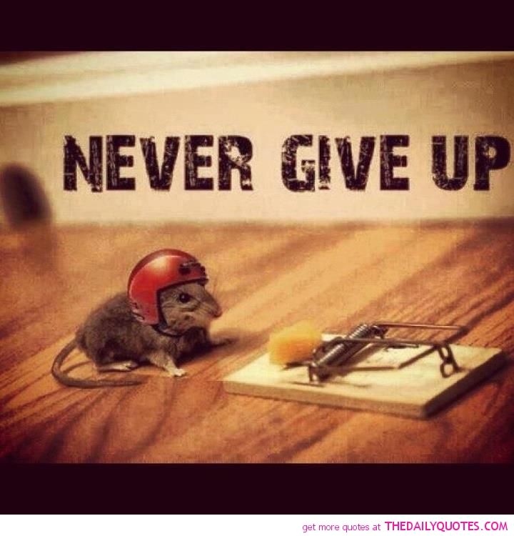 #FridayMotivation