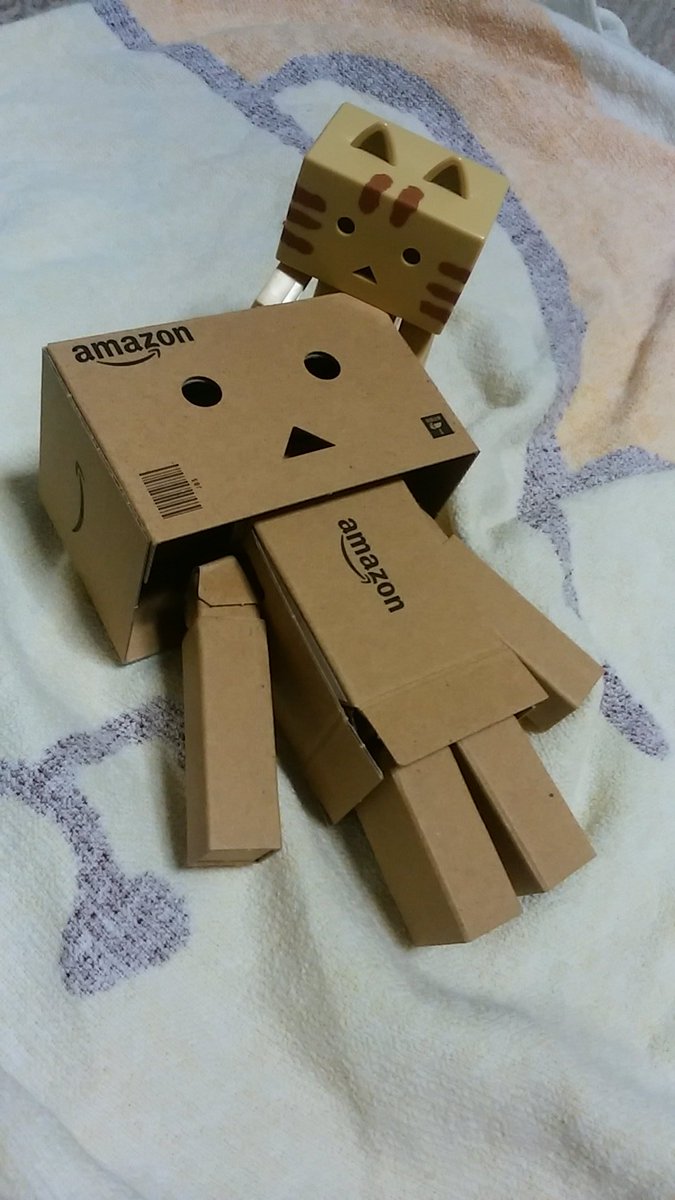 にゃんぼーは思う。ダンボーくんって本当に段ボールで作れるんだね。#ダンボー #ニャンボー にゃんぼーは思う。ダンボーくんって本当に段ボールで作れるんだね。#ダンボー #ニャンボー
