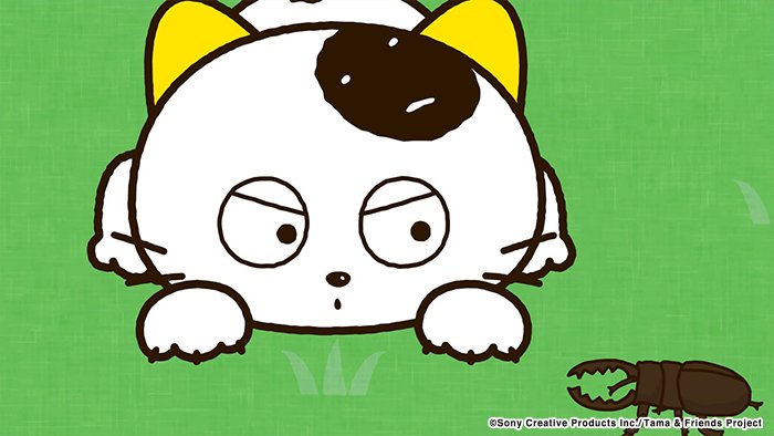アニメ タマ&フレンズ~うちのタマ知りませんか?~ 今日のお話は「タマとクワガタ」公園で遊んでいるタマとポチの前に1匹の アニメ タマ&フレンズ~うちのタマ知りませんか?~ 今日のお話は「タマとクワガタ」公園で遊んでいるタマとポチの前に1匹の