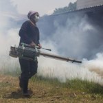 New Caledonia dengue epidemic over