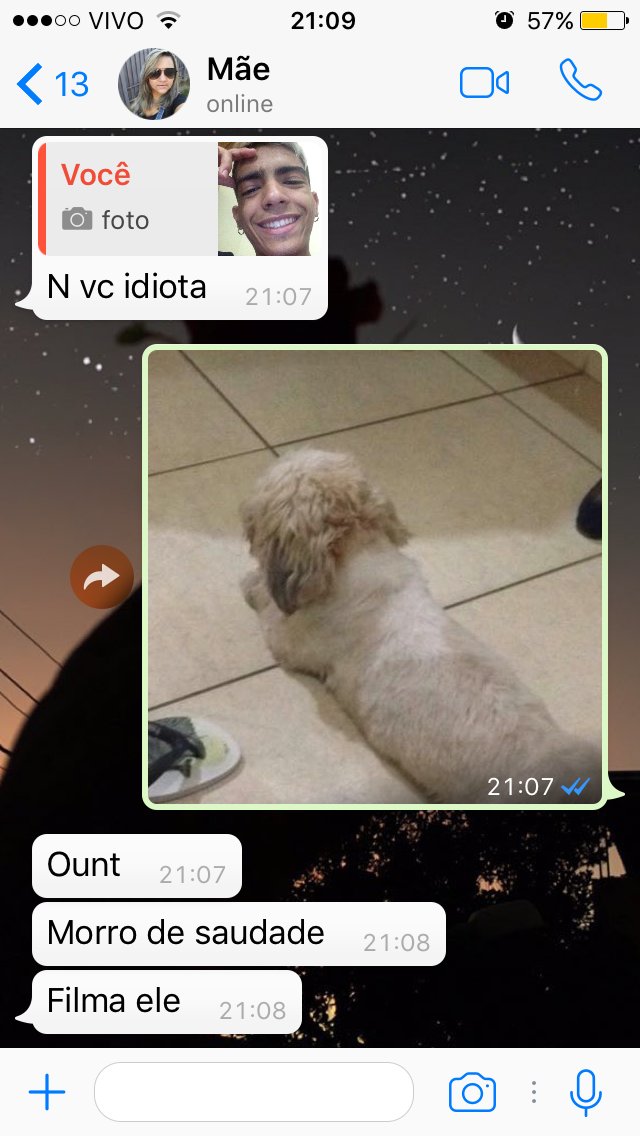 Mateus