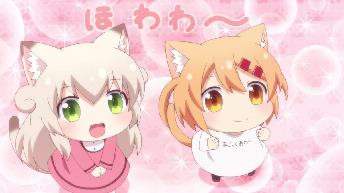 2クール前のアニメだけど、にゃんこデイズがめっちゃ良かった!!こんな癒しアニメが眠っていたとは・・・ 2クール前のアニメだけど、にゃんこデイズがめっちゃ良かった!!こんな癒しアニメが眠っていたとは・・・