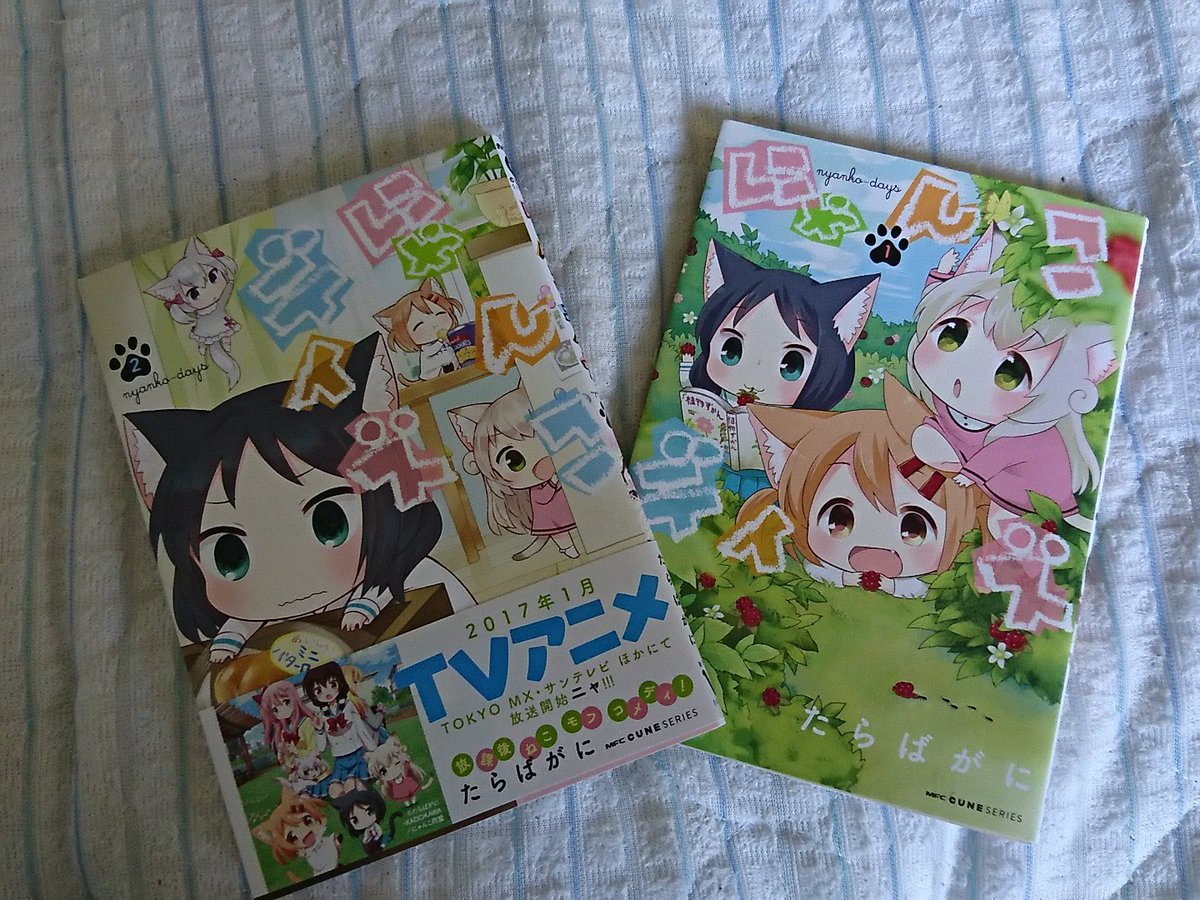 買っちゃった!#にゃんこデイズ#たらばがに 買っちゃった!#にゃんこデイズ#たらばがに