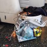Police arrest teenager in connection to London train bomb