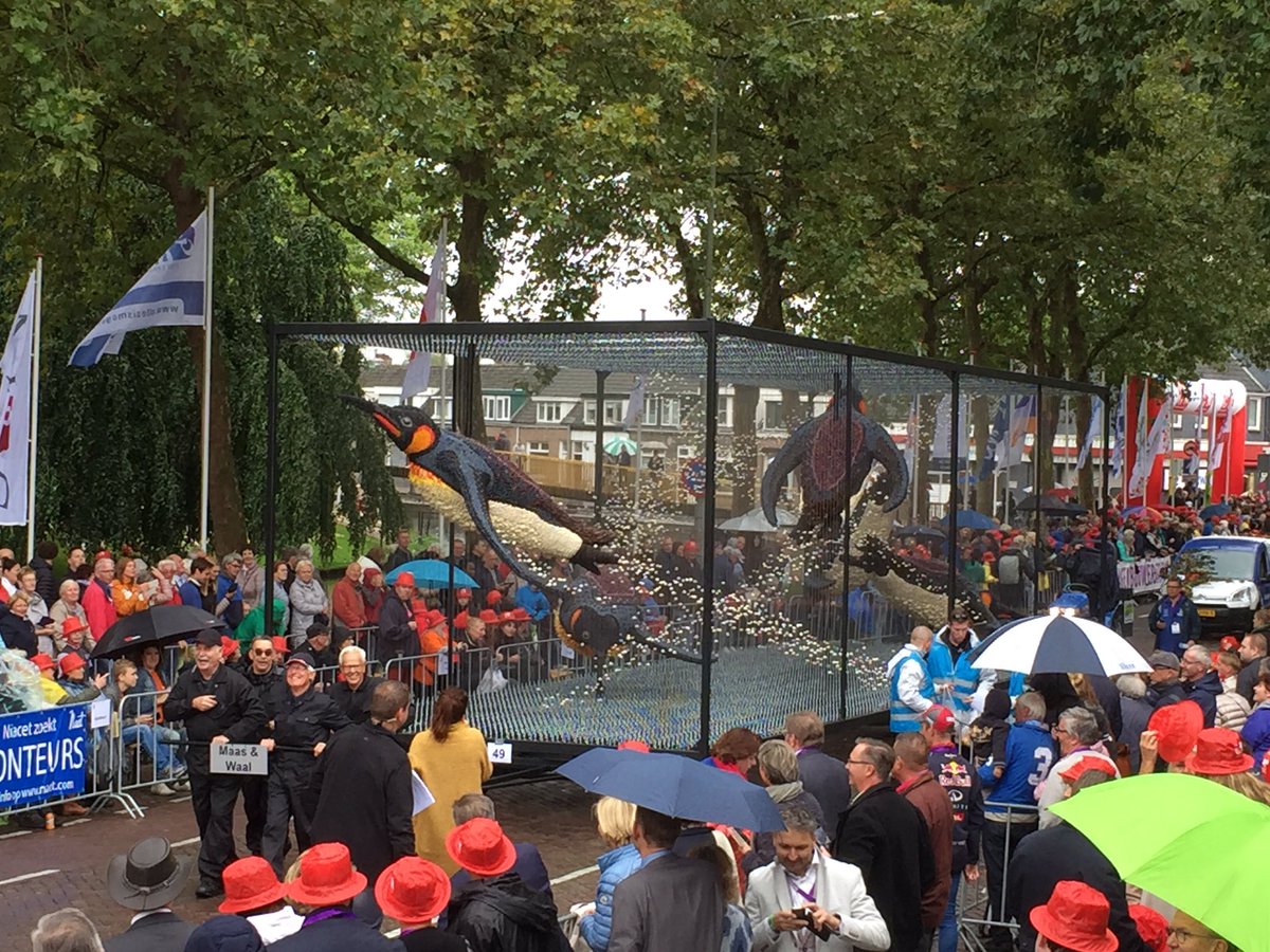 #fruitcorso
