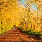 Ireland's Autumn Bucket List: 25 amazing things to see and do this season!