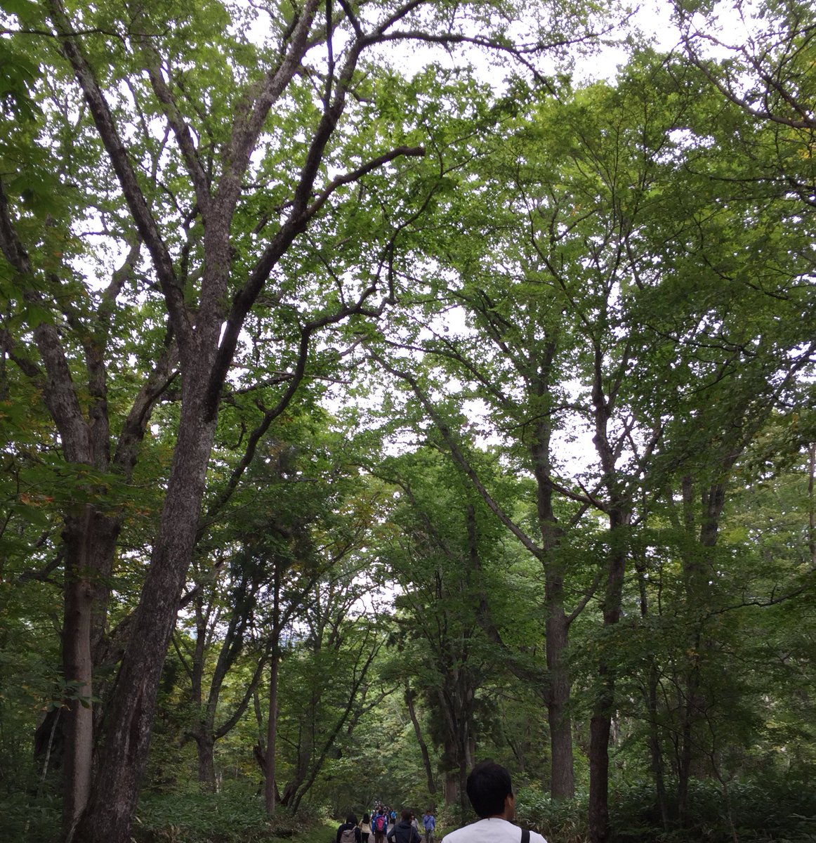 そういえば戸隠に行ってました。ミラスポとかじゃないけど、RDGの舞台 そういえば戸隠に行ってました。ミラスポとかじゃないけど、RDGの舞台