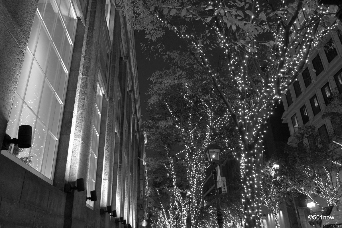 『夜の旧居留地 #6』#神戸 #旧居留地 #写真撮ってる人と繋がりたい#写真好きな人と繋がりたい#ファインダー越しの私の 『夜の旧居留地 #6』#神戸 #旧居留地 #写真撮ってる人と繋がりたい#写真好きな人と繋がりたい#ファインダー越しの私の