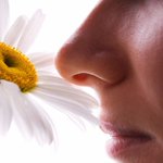 Early stages of Parkinson's could be marked by inability to smell gasoline or soap