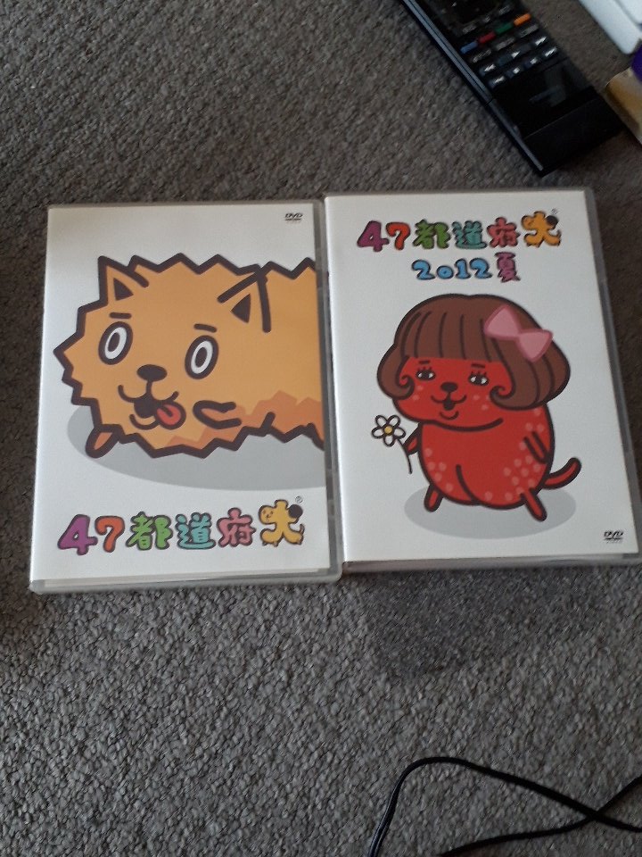 疲れたから休憩する整理して出てきた47都道府犬✨見よう 疲れたから休憩する整理して出てきた47都道府犬✨見よう