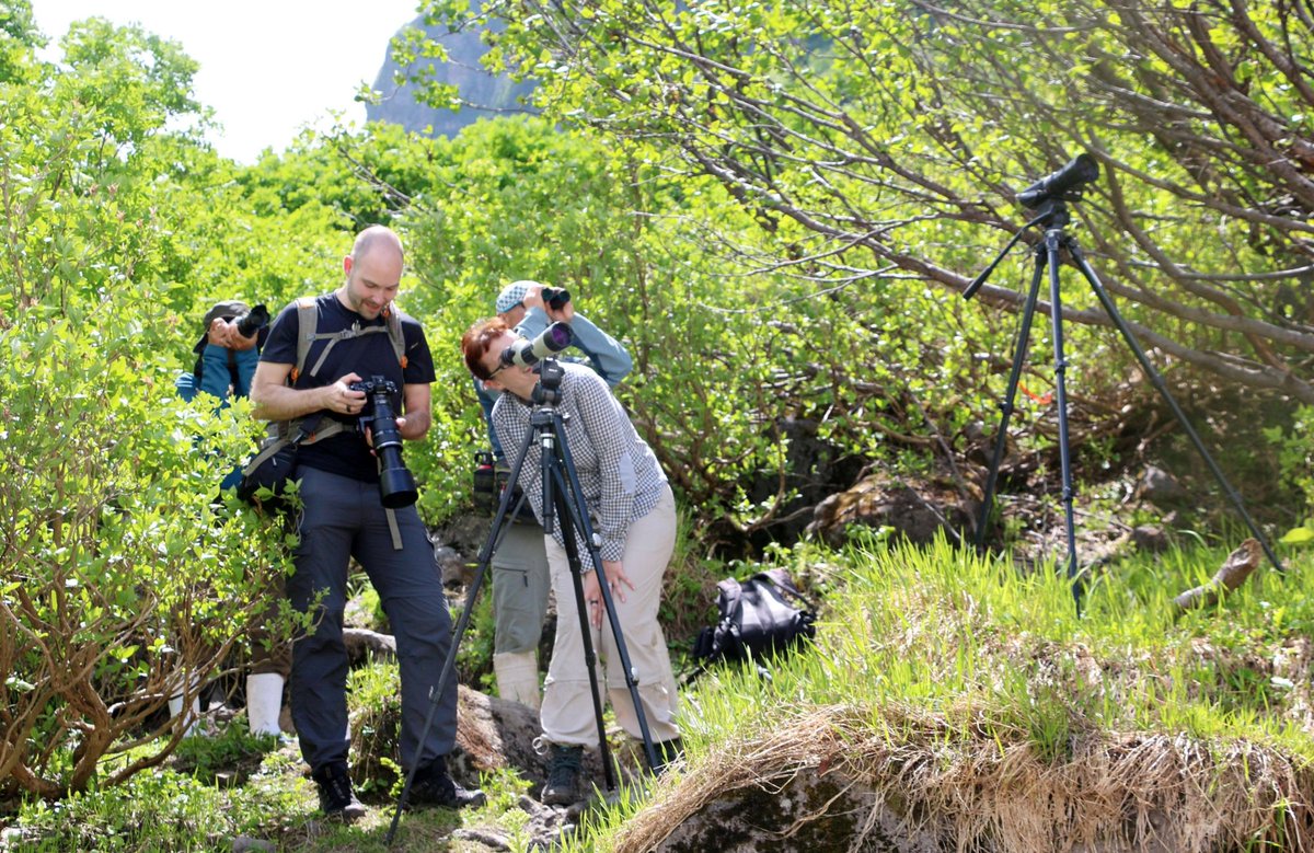 Bear-watching attracts hikers to Hokkaido national park