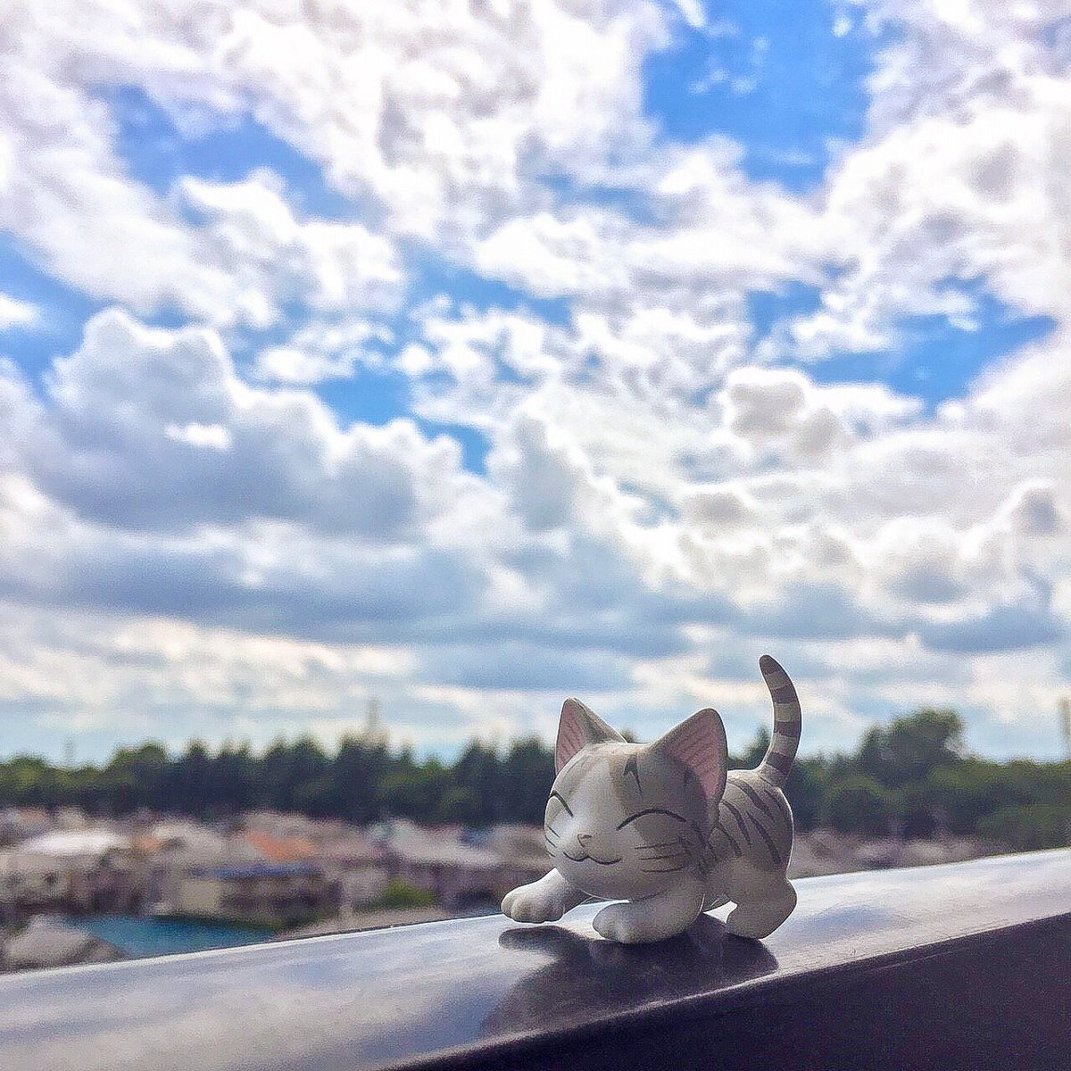 空がきれいらー!チー、いつかあのふわふわにのって おさんぽちてみたいなー#こねこのチー #チーズスイートホーム #チー 空がきれいらー!チー、いつかあのふわふわにのって おさんぽちてみたいなー#こねこのチー #チーズスイートホーム #チー