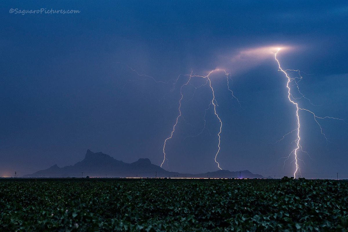 #azwx