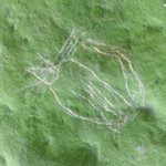DNR, Native Americans ask public for help to ID vandals