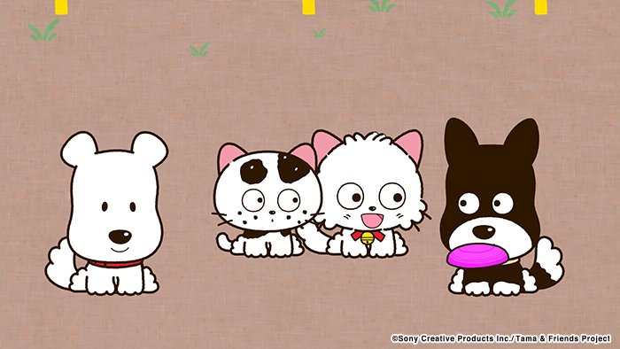 アニメ タマ&フレンズ~うちのタマ知りませんか?~ 今日のお話は「対決!イヌVSネコ」公園で遊んでいるフレンズ。ひょんな アニメ タマ&フレンズ~うちのタマ知りませんか?~ 今日のお話は「対決!イヌVSネコ」公園で遊んでいるフレンズ。ひょんな