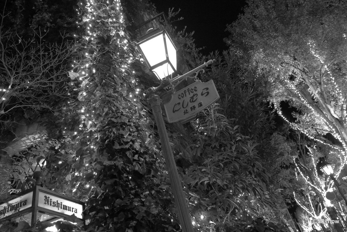 『にしむら珈琲 北野店』#神戸 #北野坂 #写真撮ってる人と繋がりたい#写真好きな人と繋がりたい#ファインダー越しの私の 『にしむら珈琲 北野店』#神戸 #北野坂 #写真撮ってる人と繋がりたい#写真好きな人と繋がりたい#ファインダー越しの私の