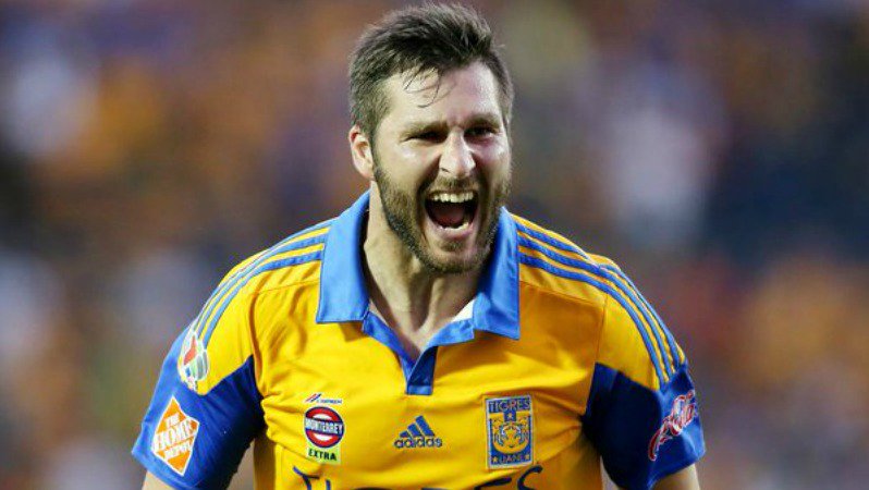 Tigres