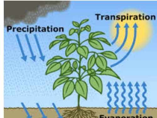 #landscapechat