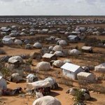 UNHCR-backed Somalia refugee return hits 72,000