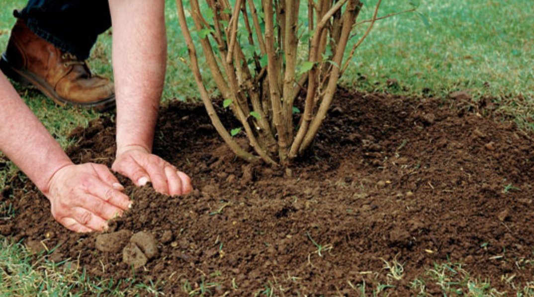 #landscapechat