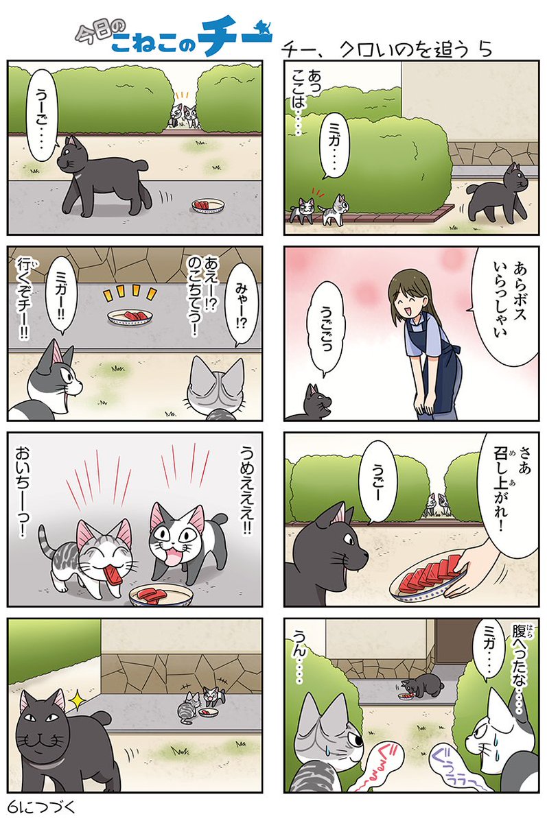 8コママンガ【今日のこねこのチー】チー、クロいのを追う5★単行本2巻発売中!コミックボンボンで試し読みができる!#こねこ 8コママンガ【今日のこねこのチー】チー、クロいのを追う5★単行本2巻発売中!コミックボンボンで試し読みができる!#こねこ