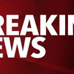 One dead and three injured after car full of British volunteers ploughs into a tree near small Romanian village