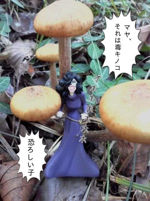 →狼少女ジェーンの稽古をこっそり見守る月影先生✨ #ガラスの仮面 #フチ仮面 →狼少女ジェーンの稽古をこっそり見守る月影先生✨ #ガラスの仮面 #フチ仮面