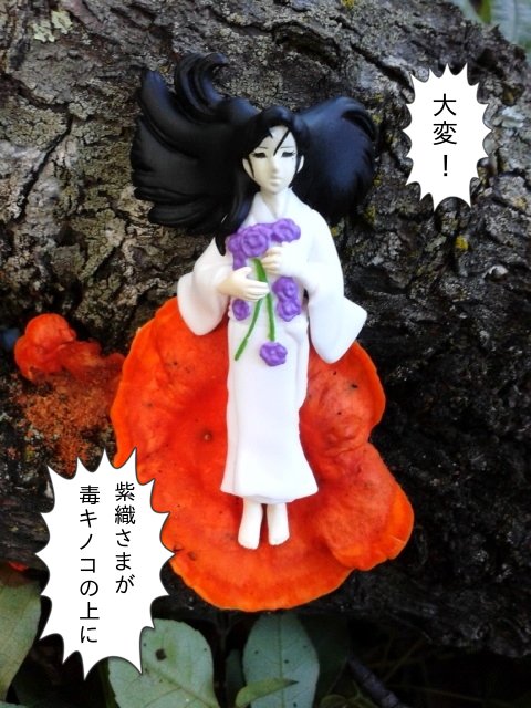 その頃、天狗岳まで北島マヤを追ってきた紫織さまは……!!! #ガラスの仮面 #フチ仮面 その頃、天狗岳まで北島マヤを追ってきた紫織さまは……!!! #ガラスの仮面 #フチ仮面