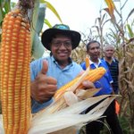 Ahmad Shabery: We should grow more corn for animal feed