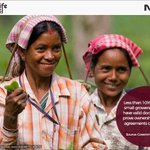 For First Time, Small Tea Growers In Assam To Get Land Rights