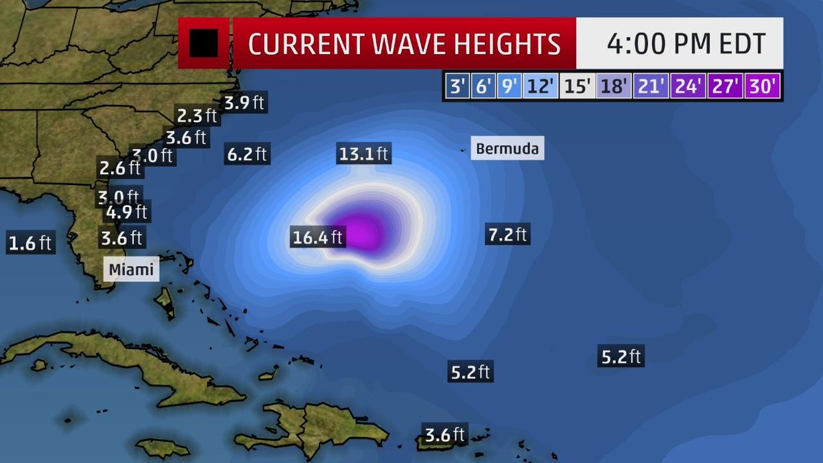 #Jose