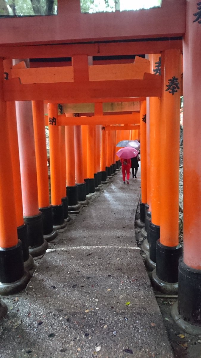 この鳥居並んでる感えとたまのあれ思い出す走り抜けたい この鳥居並んでる感えとたまのあれ思い出す走り抜けたい
